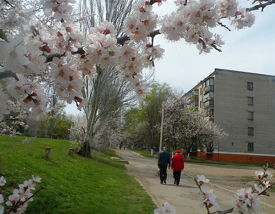 Фото жизнь