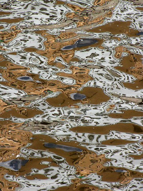 Фото жизнь (light) - dzinner - корневой каталог - акваграфика