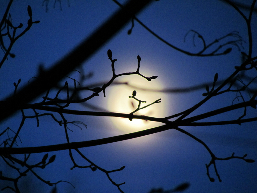 Фото жизнь (light) - dzinner - корневой каталог - убывающая луна
