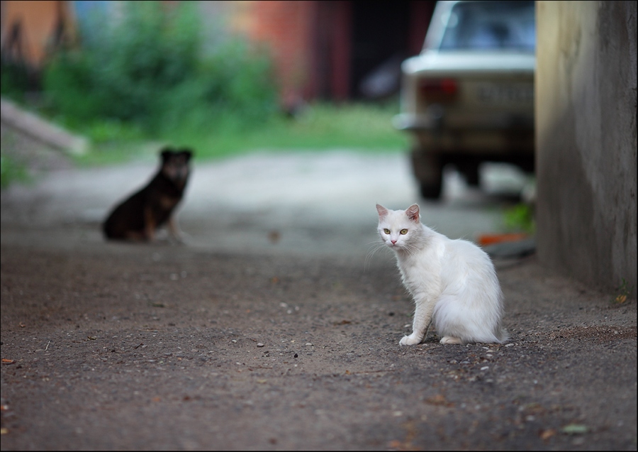 Фото жизнь
