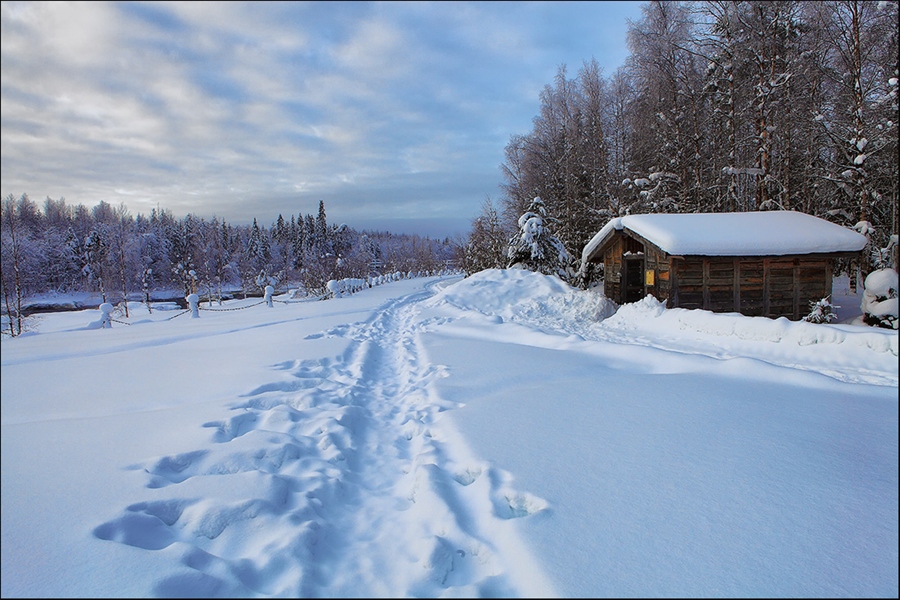 Фото жизнь