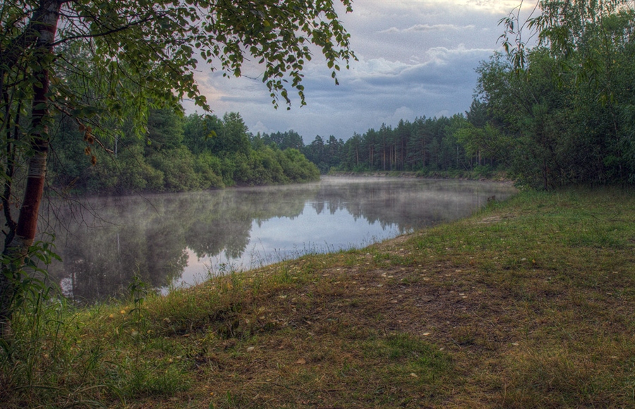 Фото жизнь