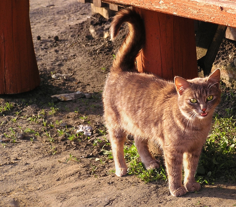 Фото жизнь