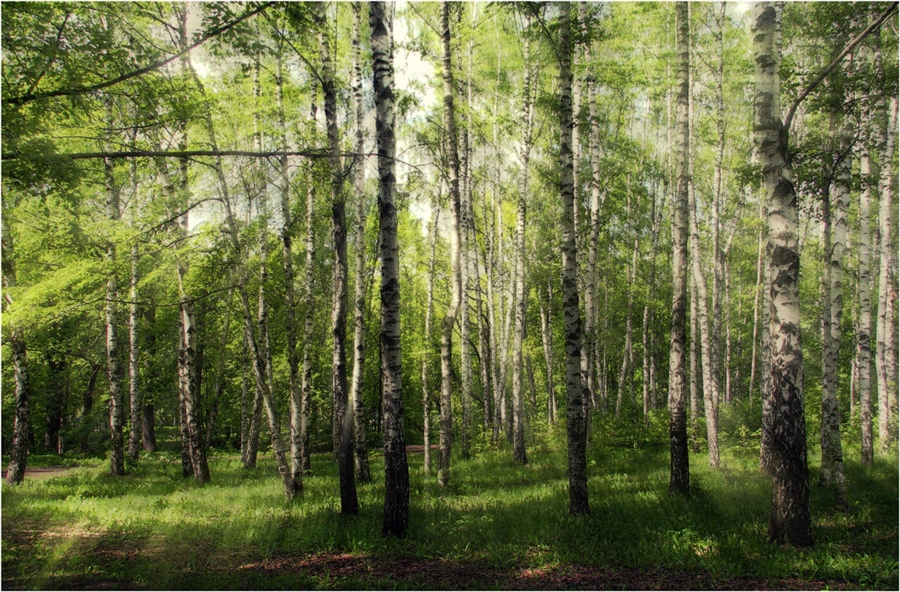 Фото жизнь
