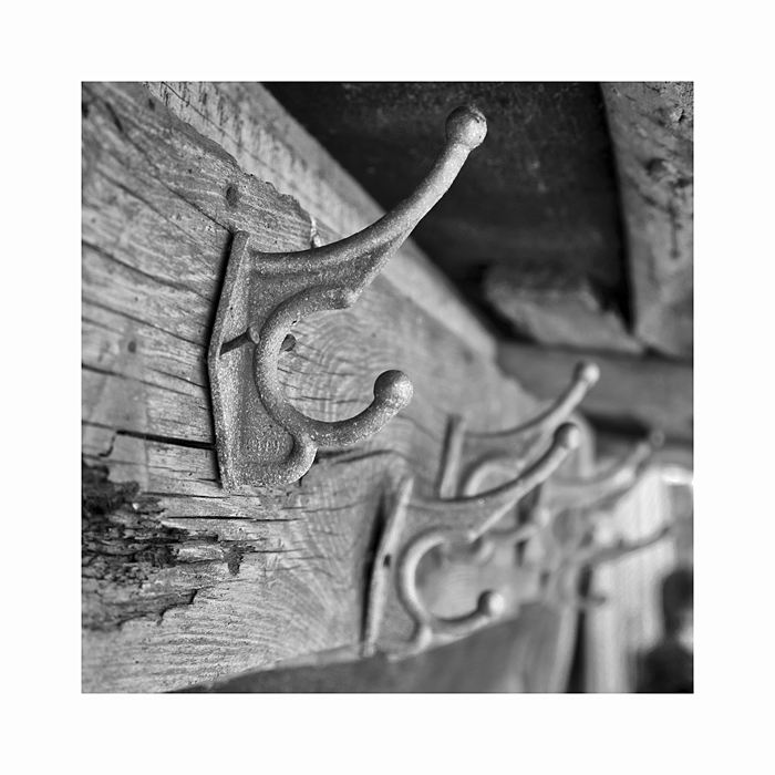 Фото жизнь (light) - Ковалев Евгений - корневой каталог - Hook