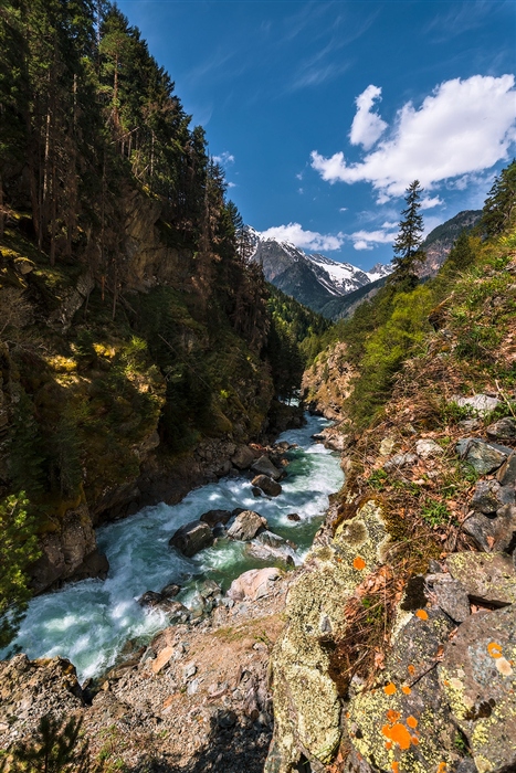 Фото жизнь