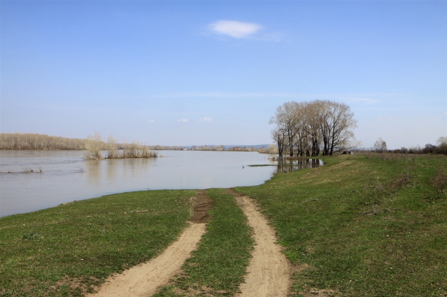 Фото жизнь