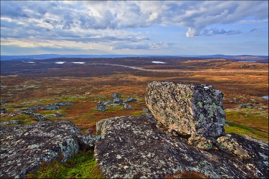 Фото жизнь