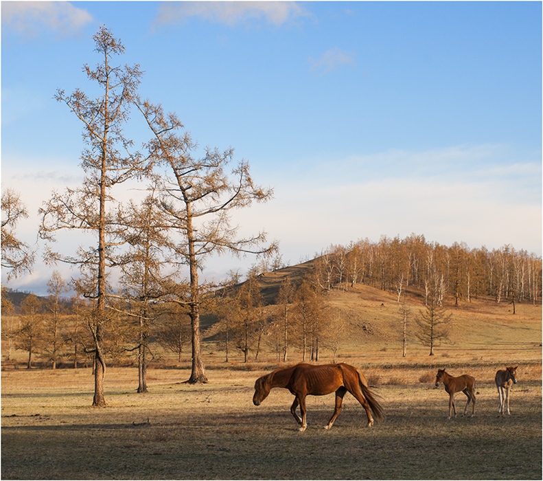 Фото жизнь
