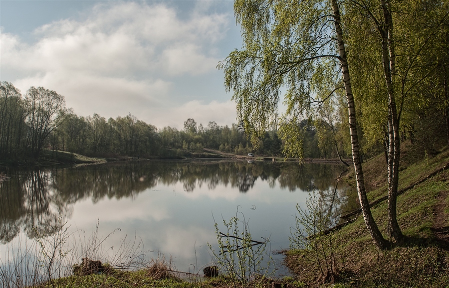 Фото жизнь