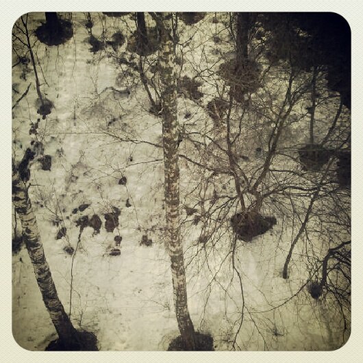 Фото жизнь (light) - serenata - корневой каталог - *