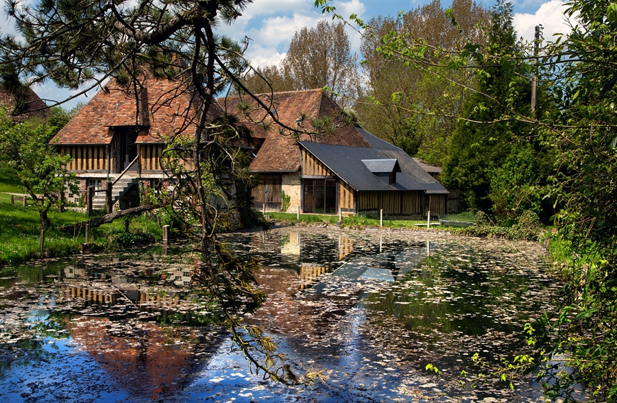 Фото жизнь