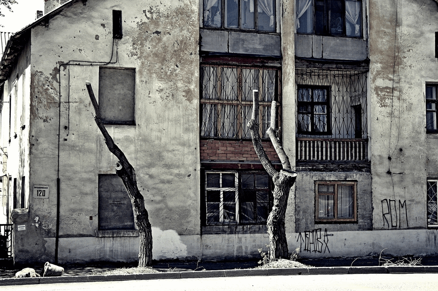 Фото жизнь
