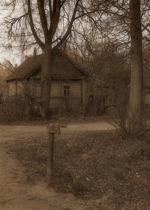 Фото жизнь