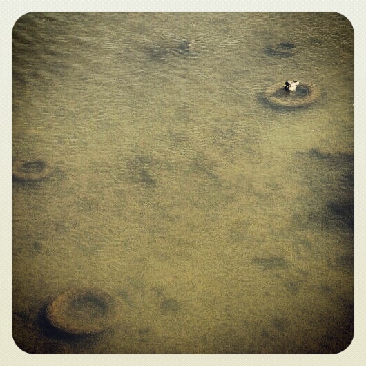 Фото жизнь (light) - serenata - корневой каталог - *