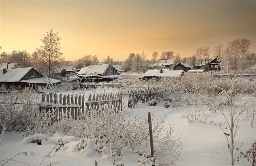 Фото жизнь