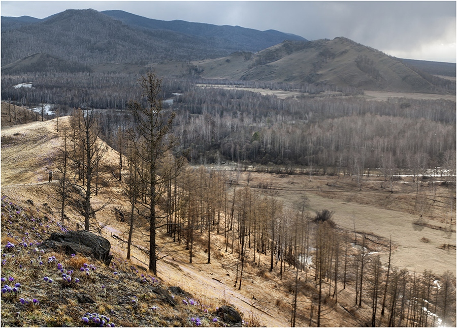 Фото жизнь