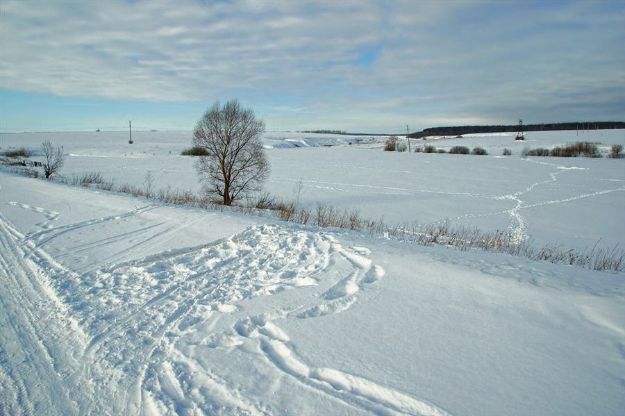 Фото жизнь