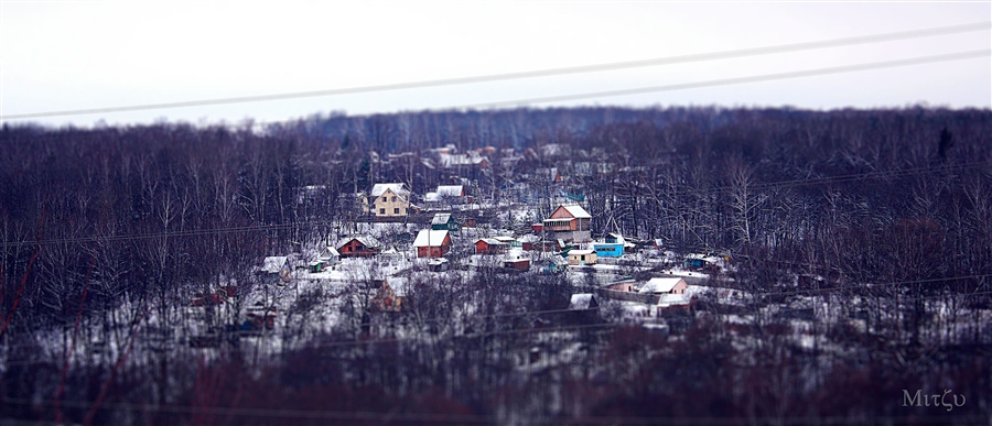 Фото жизнь