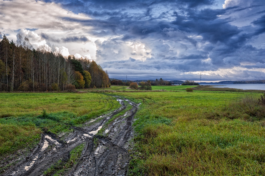 Фото жизнь