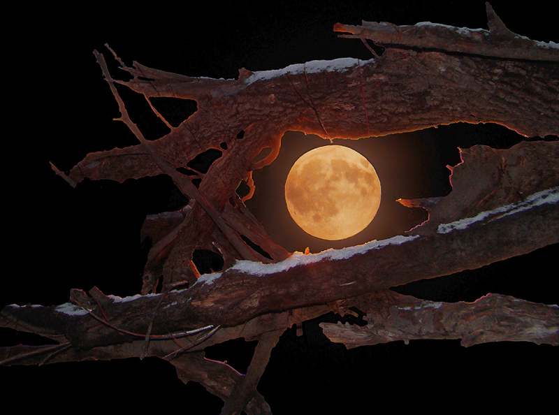 Фото жизнь - Альберт Беляев - корневой каталог - Горячая Луна