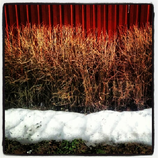 Фото жизнь (light) - serenata - корневой каталог - *