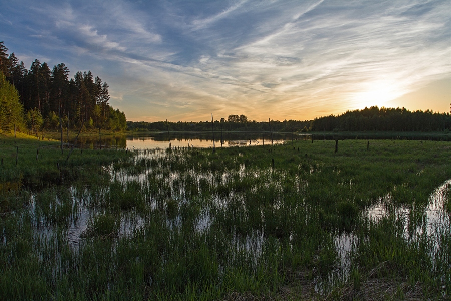 Фото жизнь