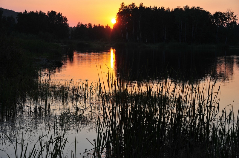 Фото жизнь (light) - AlexBush - корневой каталог - ***