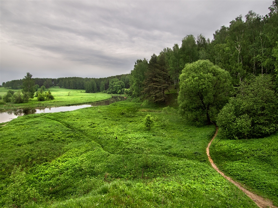Фото жизнь
