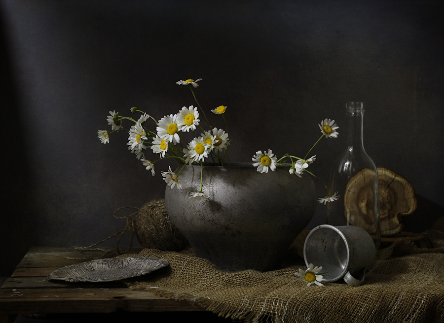 Фото жизнь (light) -  Наталия Киливник (Метрон) - Натюрморт - *****