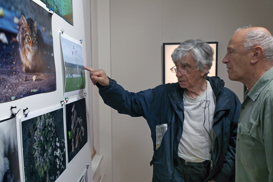 Фото жизнь (light) - Котов Вадим - ФЖ - А Васька слушает да... ) 