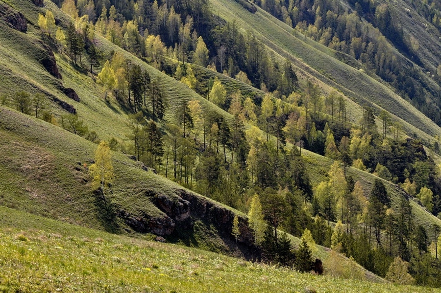 Фото жизнь