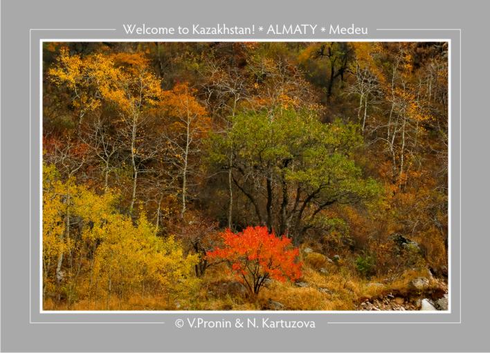 Фото жизнь - Владимир Пронин - Almaty Around - Осенний гобелен
