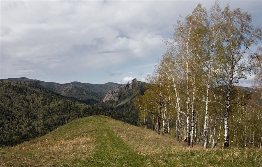 Фото жизнь