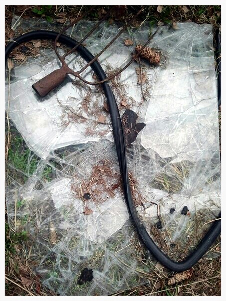 Фото жизнь (light) - serenata - корневой каталог - *