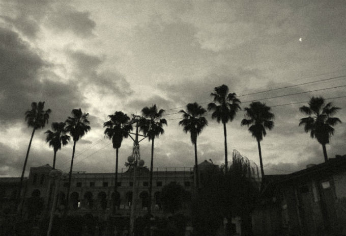 Фото жизнь (light) - Euphoria - корневой каталог - batumi