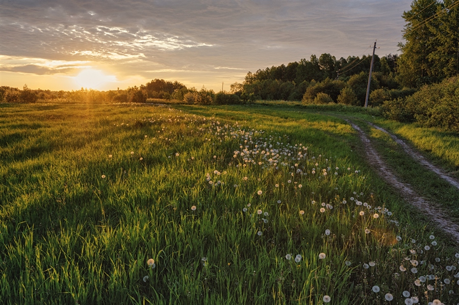 Фото жизнь