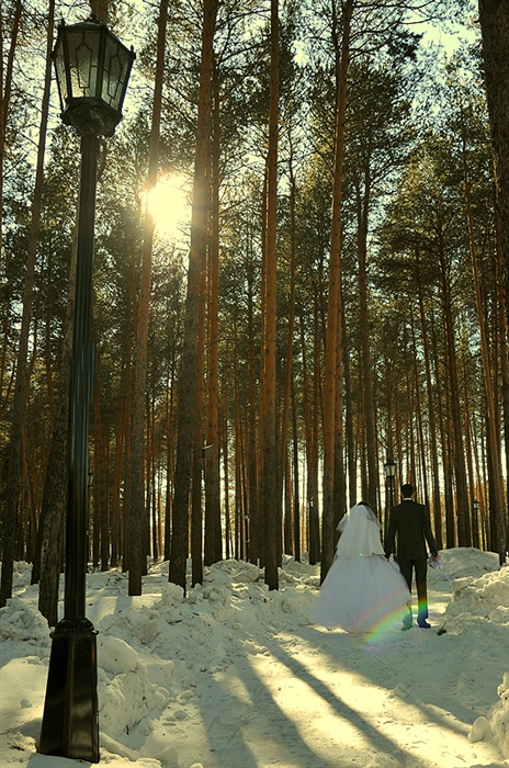 Фото жизнь