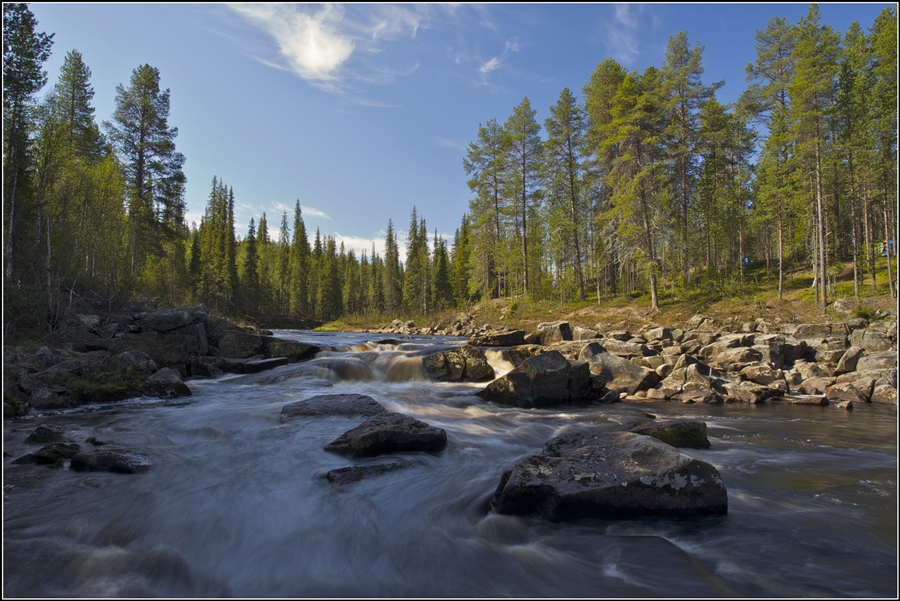 Фото жизнь
