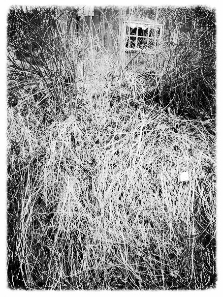 Фото жизнь (light) - serenata - корневой каталог - *