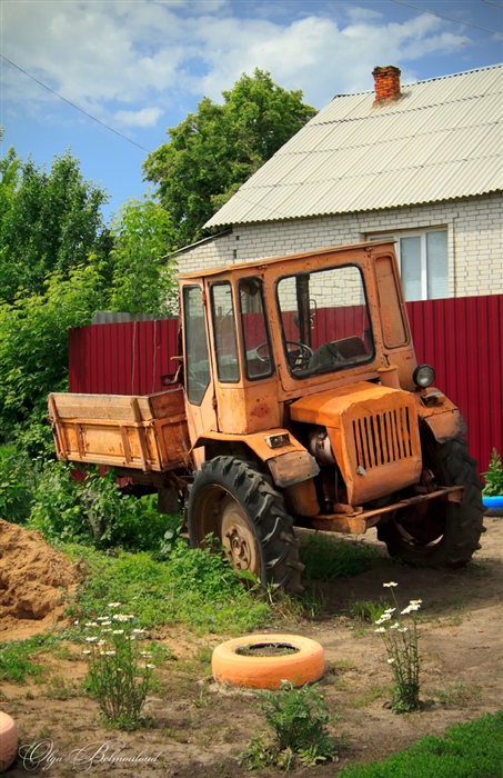 Фото жизнь