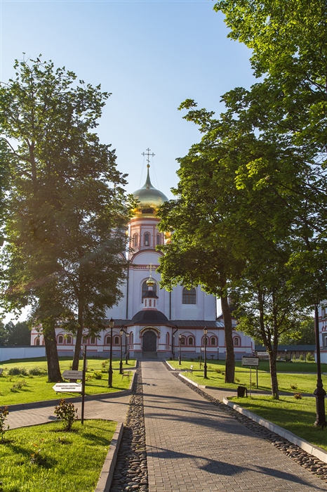 Фото жизнь