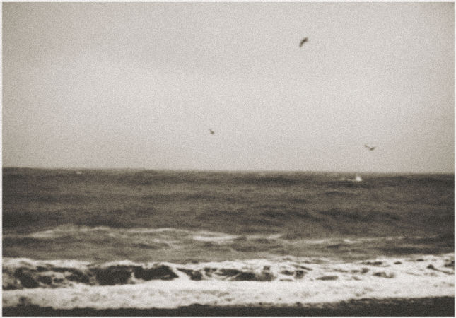 Фото жизнь (light) - Euphoria - корневой каталог - noise of sea