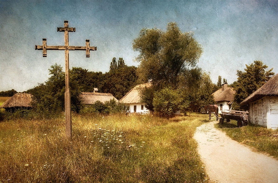 Фото жизнь