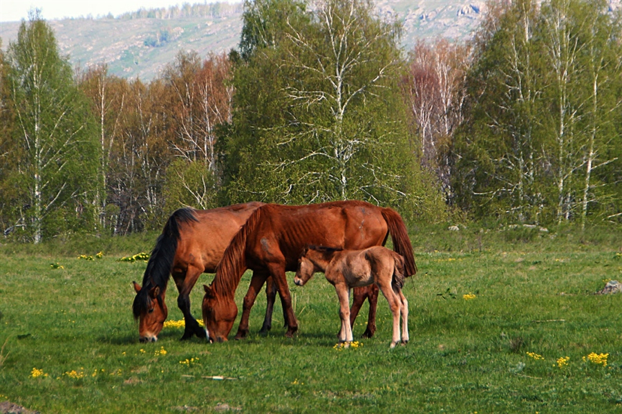 Фото жизнь