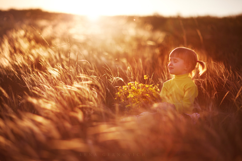Фото жизнь (light) - Детский фотограф Елена Гернович - корневой каталог - Золото