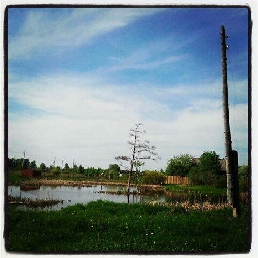 Фото жизнь (light) - serenata - корневой каталог - *