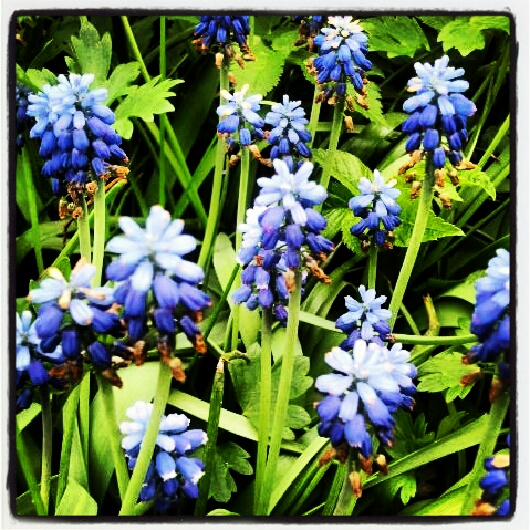 Фото жизнь (light) - serenata - корневой каталог - *