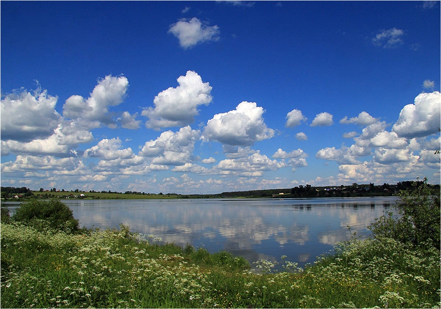 Фото жизнь
