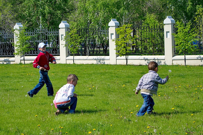 Фото жизнь
